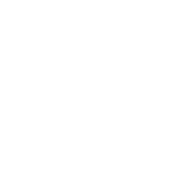 Litecoin logo